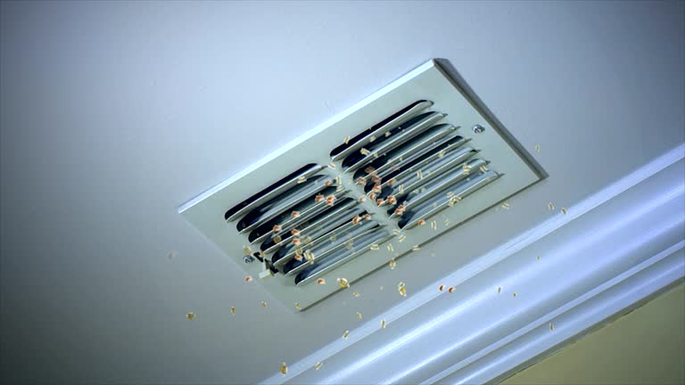 Best Ductwork Cleaning Services  in Saegertown, PA