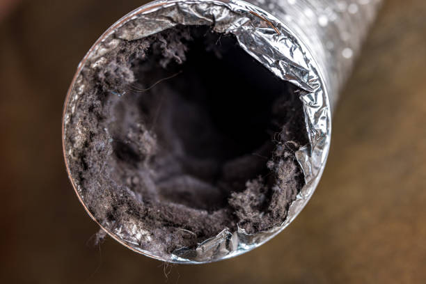 Best Home Air Vent Cleaning  in Saegertown, PA